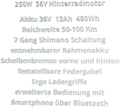 250W  36V Hinterradmotor Akku 36V  13Ah  480Wh Reichweite 50-100 Km 7 Gang Shimano Schaltung entnehmbarer Rahmenakku Scheibenbremse vorne und hinten feststellbare Federgabel Ergo Ledergriffe erweiterte Bedienung mit Smartphone über Bluetooth