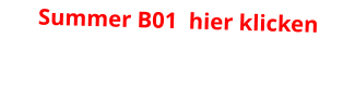 Summer B01  hier klicken